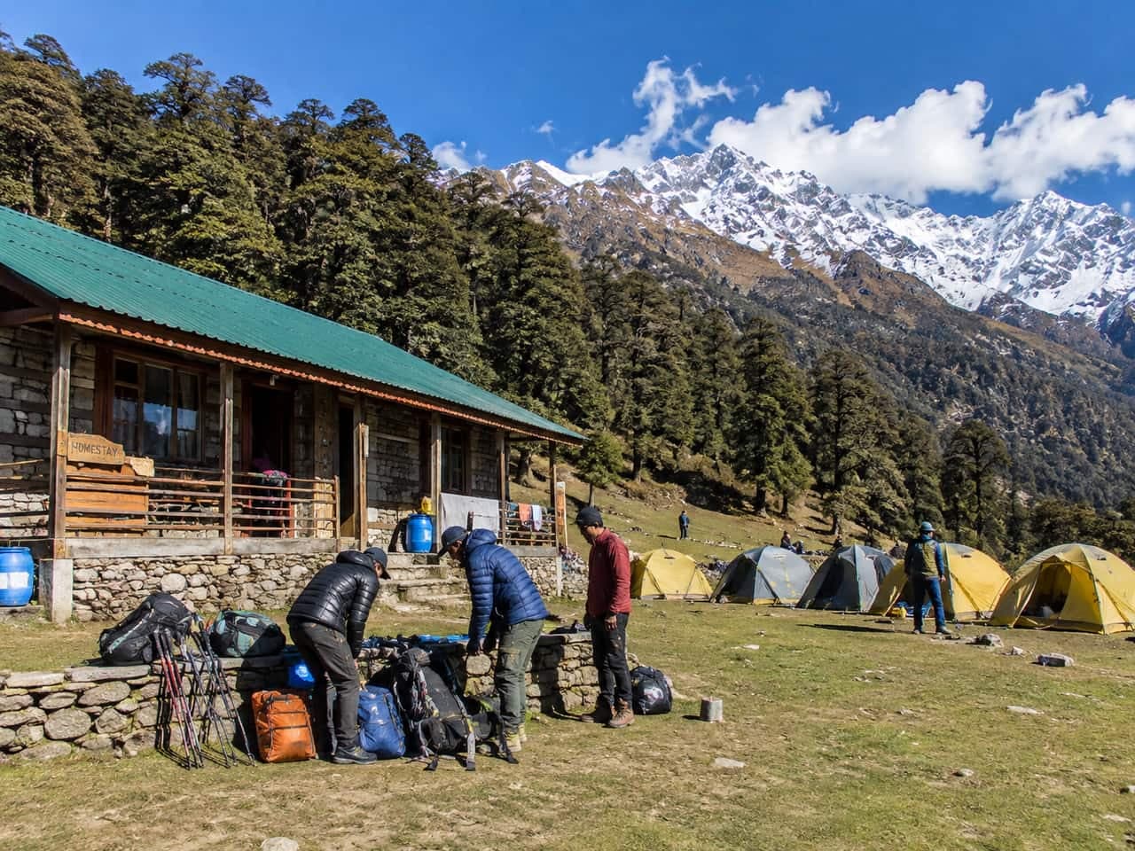 Digital marketing for local businesses in Chopta, Uttarakhand