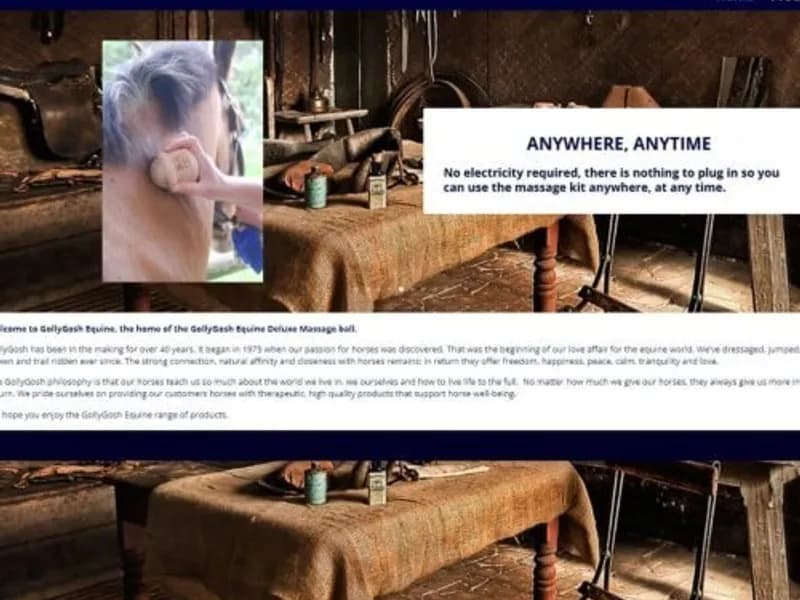 GollyGosh Equine